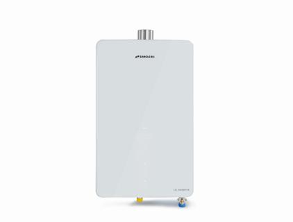 Tankless Gas Hot Water Heater